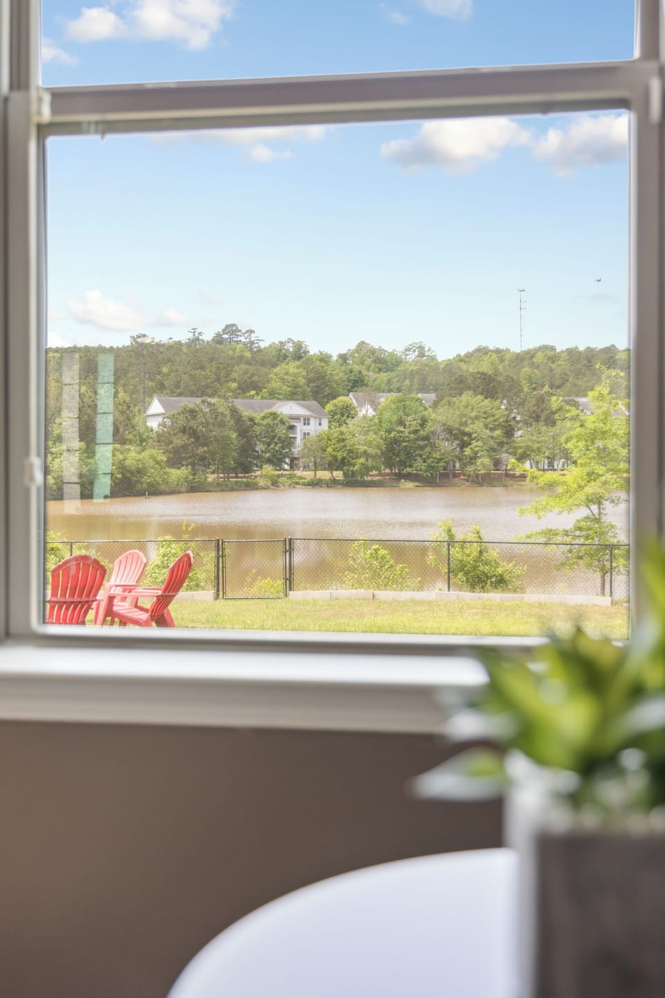 Window view of the backyard