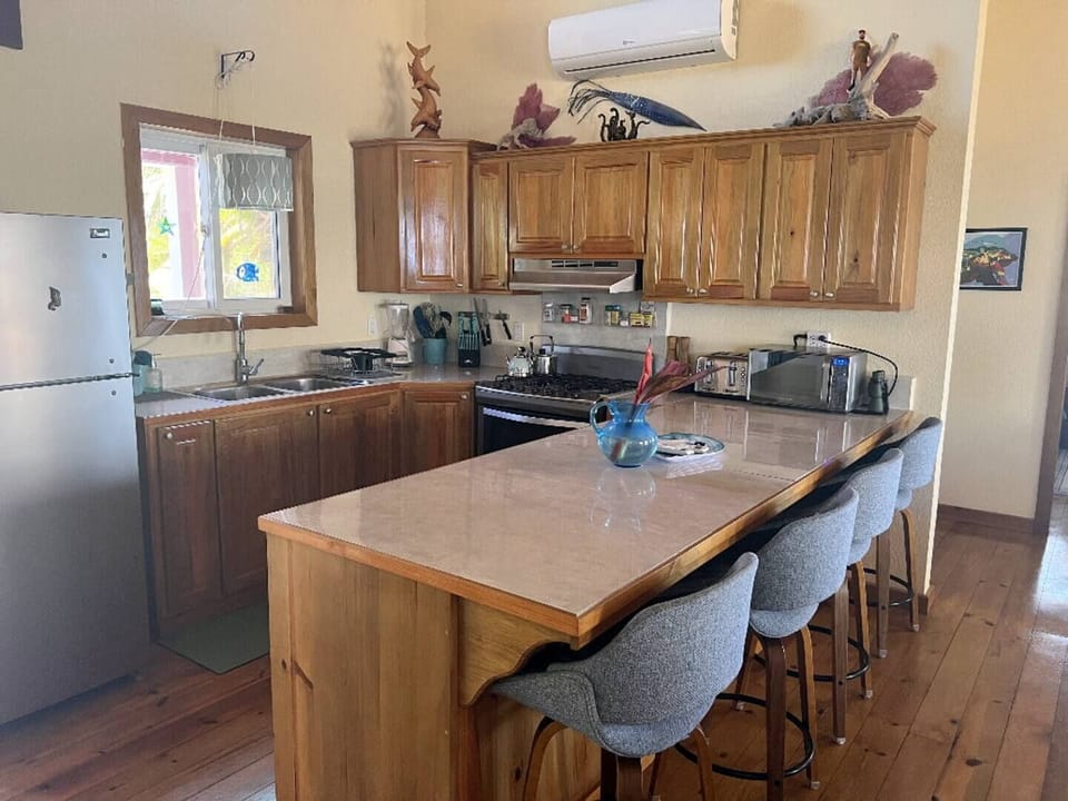 Oversize Galley Kitchen 