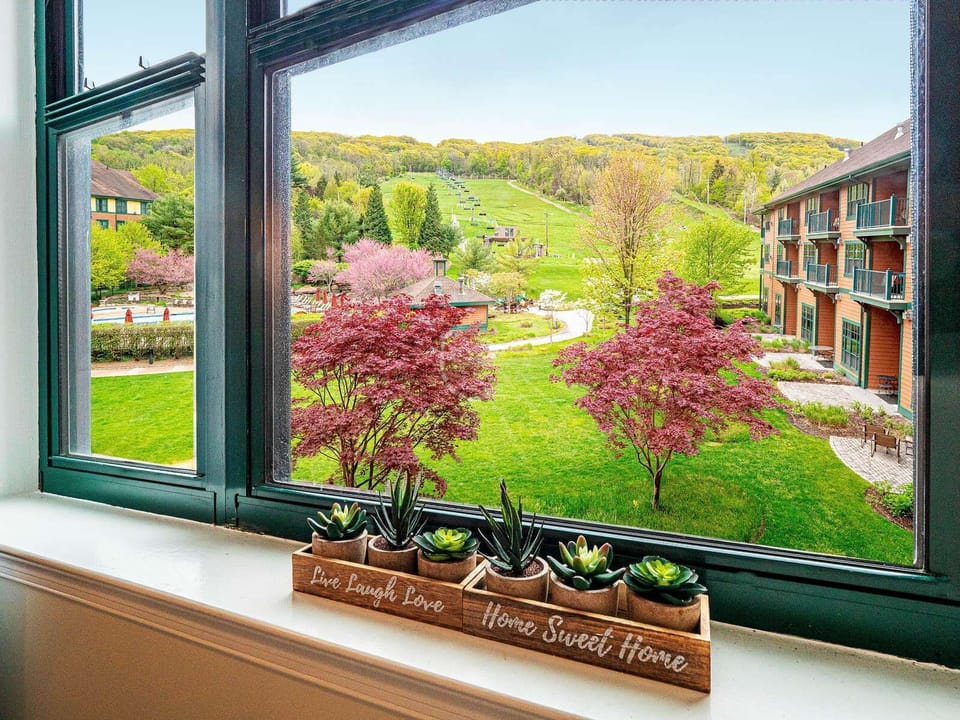 Mountain view from the living room