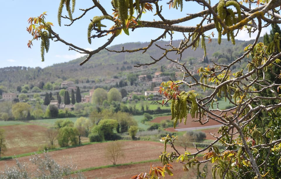 view-from-room