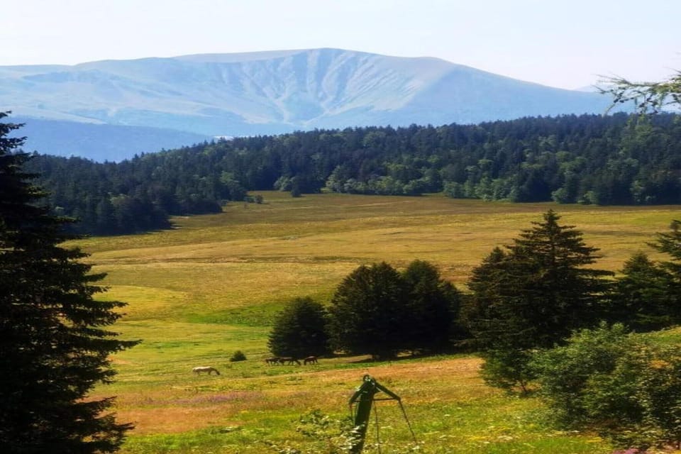 Surroundings [summer] (1-5 km)