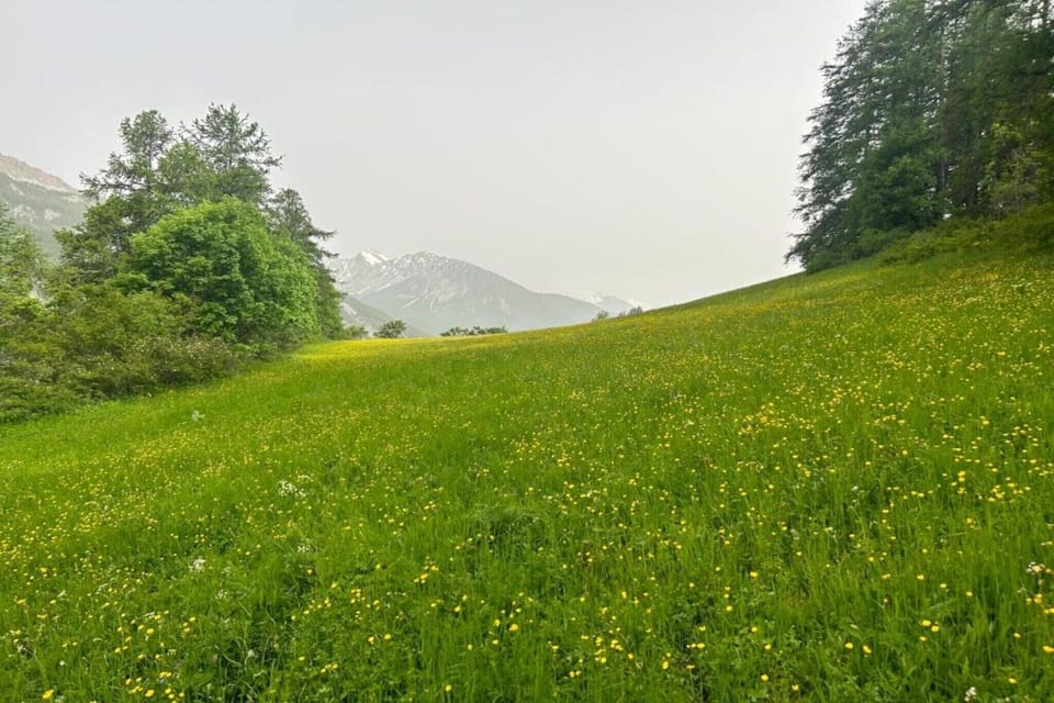 Surroundings [summer] (1-5 km)