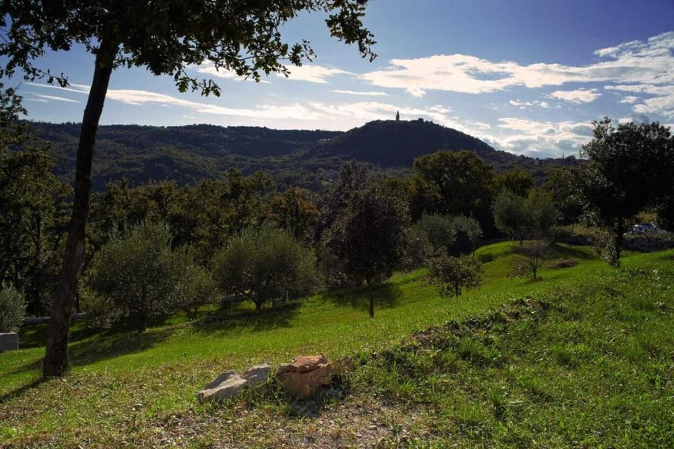 Surroundings [summer] (1-5 km)