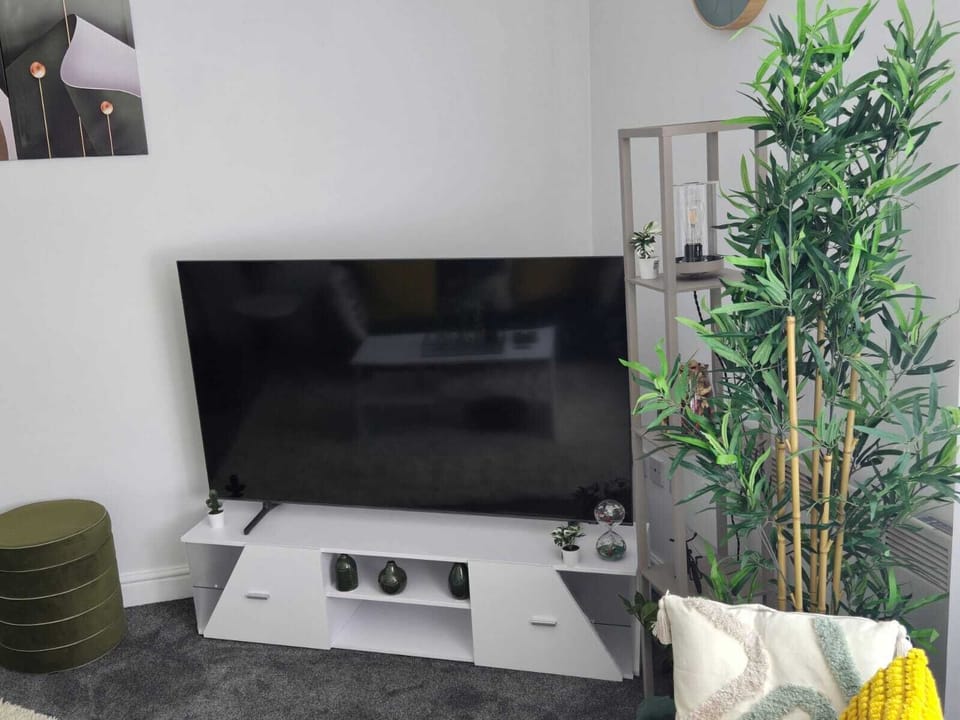 Apartment, 1 Bedroom, City View | Room amenity
