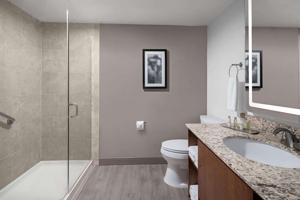 Bathroom with walk-in glass shower, granite counter, and mirror