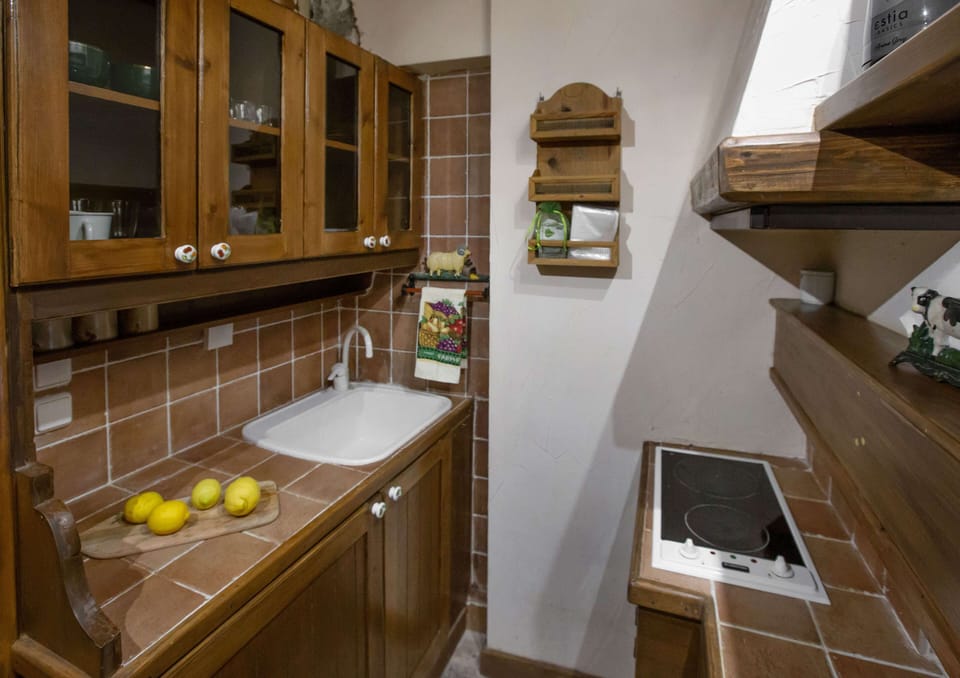 Economy Apartment, 3 Bedrooms, Mountain View | Private kitchenette | Mini-fridge, stovetop, coffee/tea maker, electric kettle