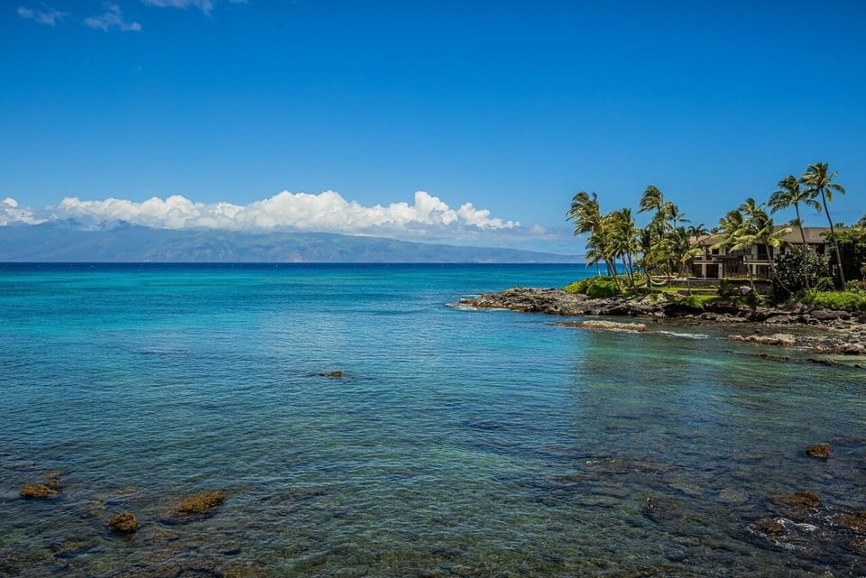 Condo, 1 Bedroom | Miscellaneous