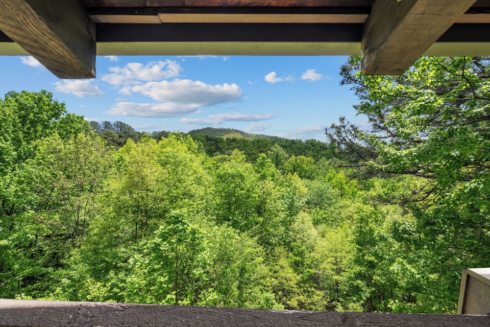 View from Deck