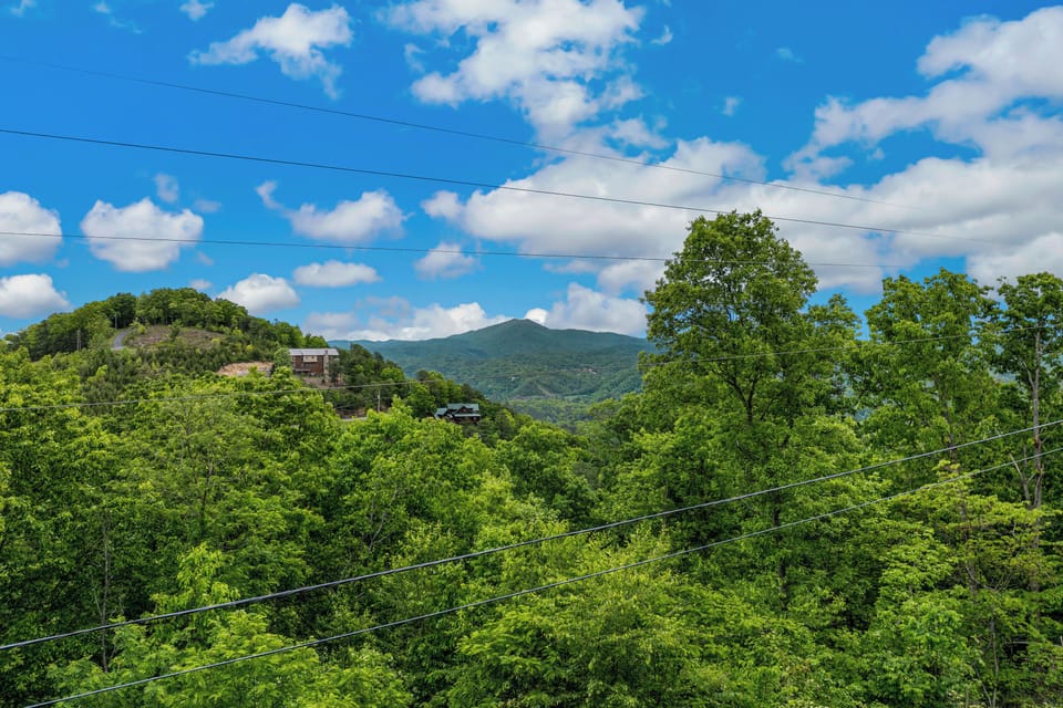 View from Deck