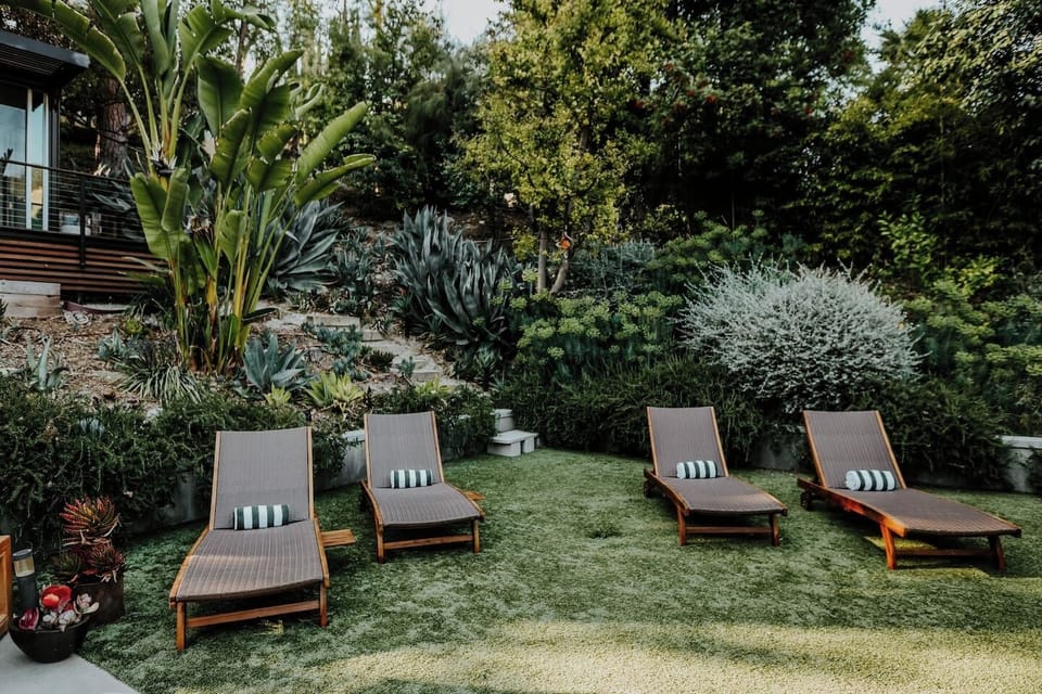 Sun Loungers
