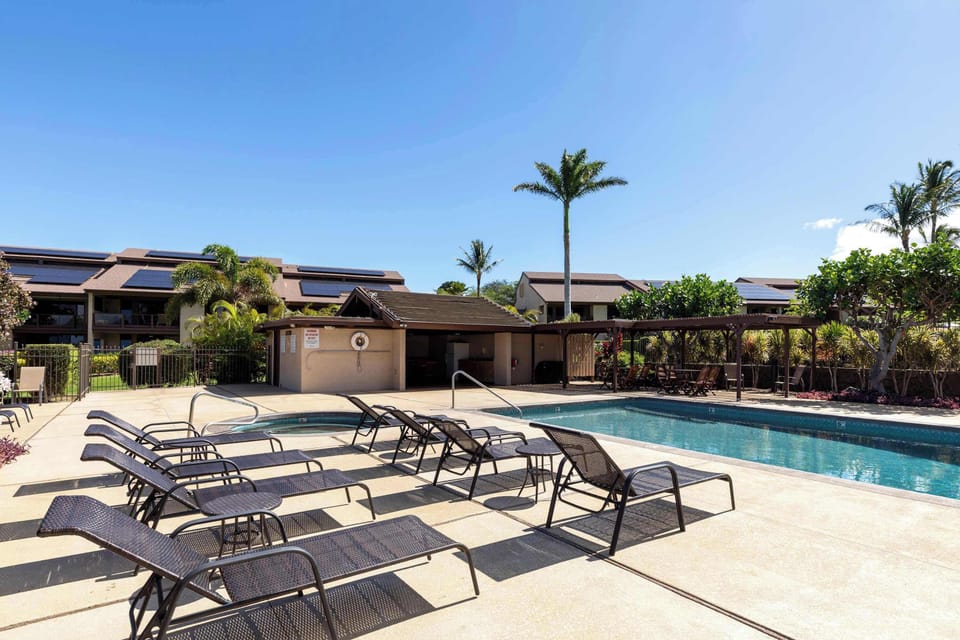 Take a dip in the pool or unwind in the hot tub surrounded by palms and comfortable loungers.