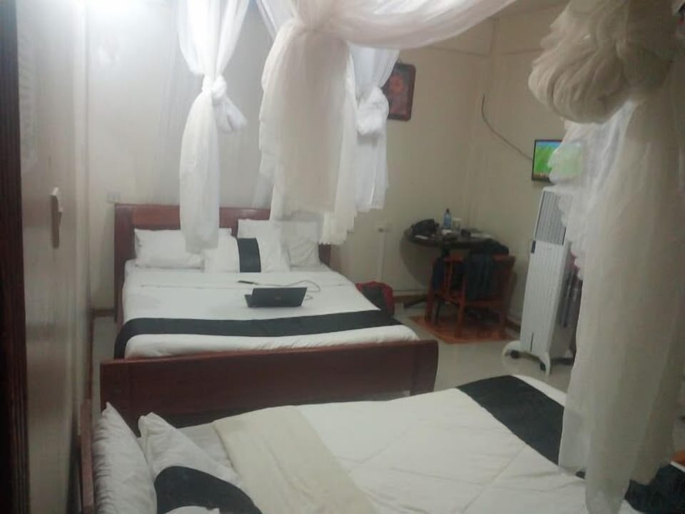 Executive Single Room, City View | Free WiFi, bed sheets