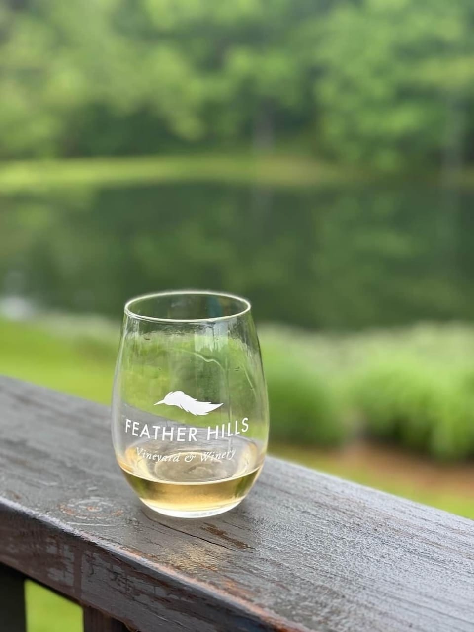 Feather Hills