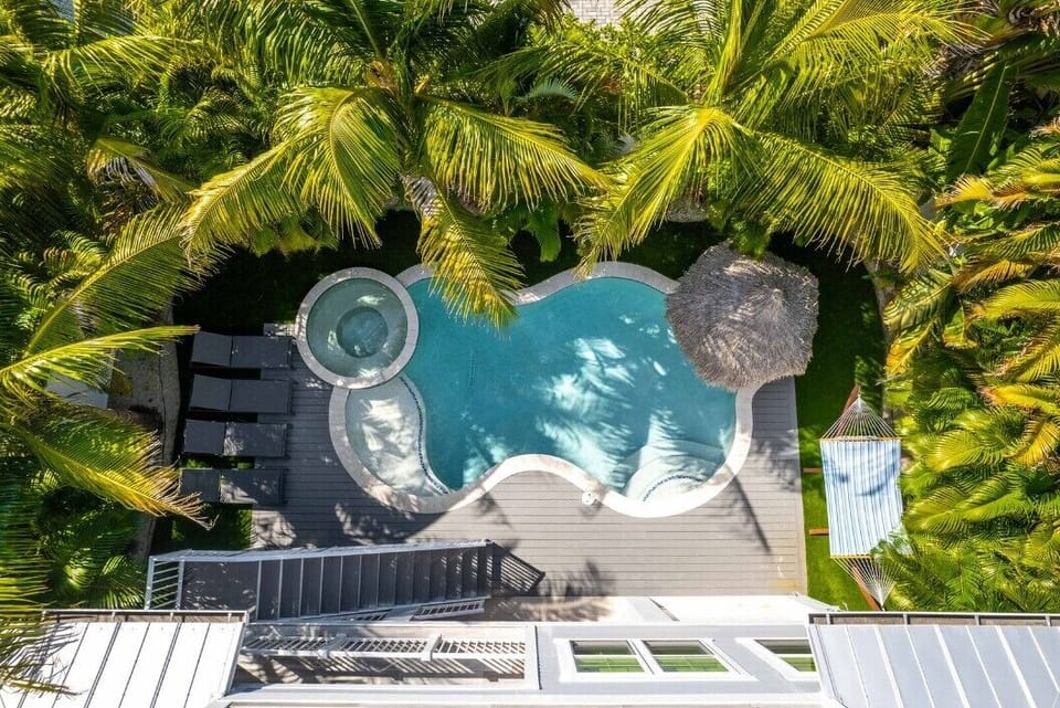 Aerial of the backyard 