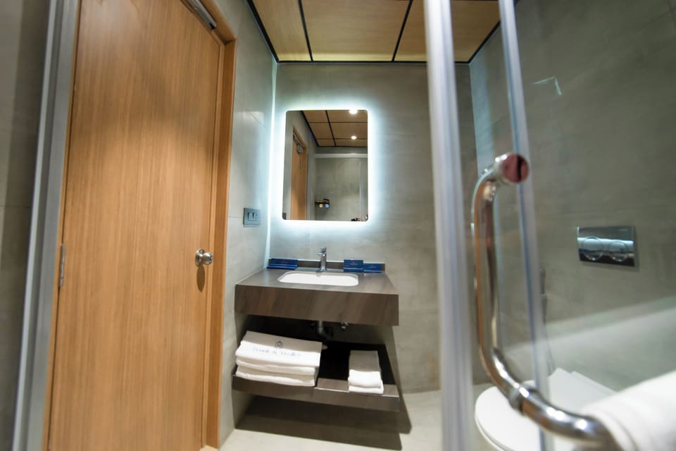 Double Room | Bathroom | Shower, free toiletries, hair dryer, towels