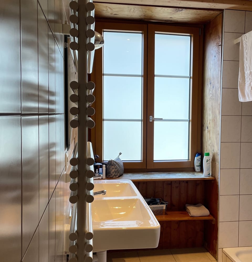 Shower, hair dryer, towels, toilet paper