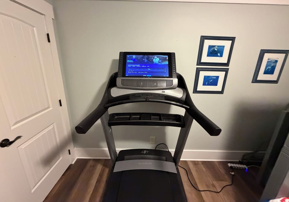 Pull down commercial Nordictrack treadmill. Yoga mats in closet.