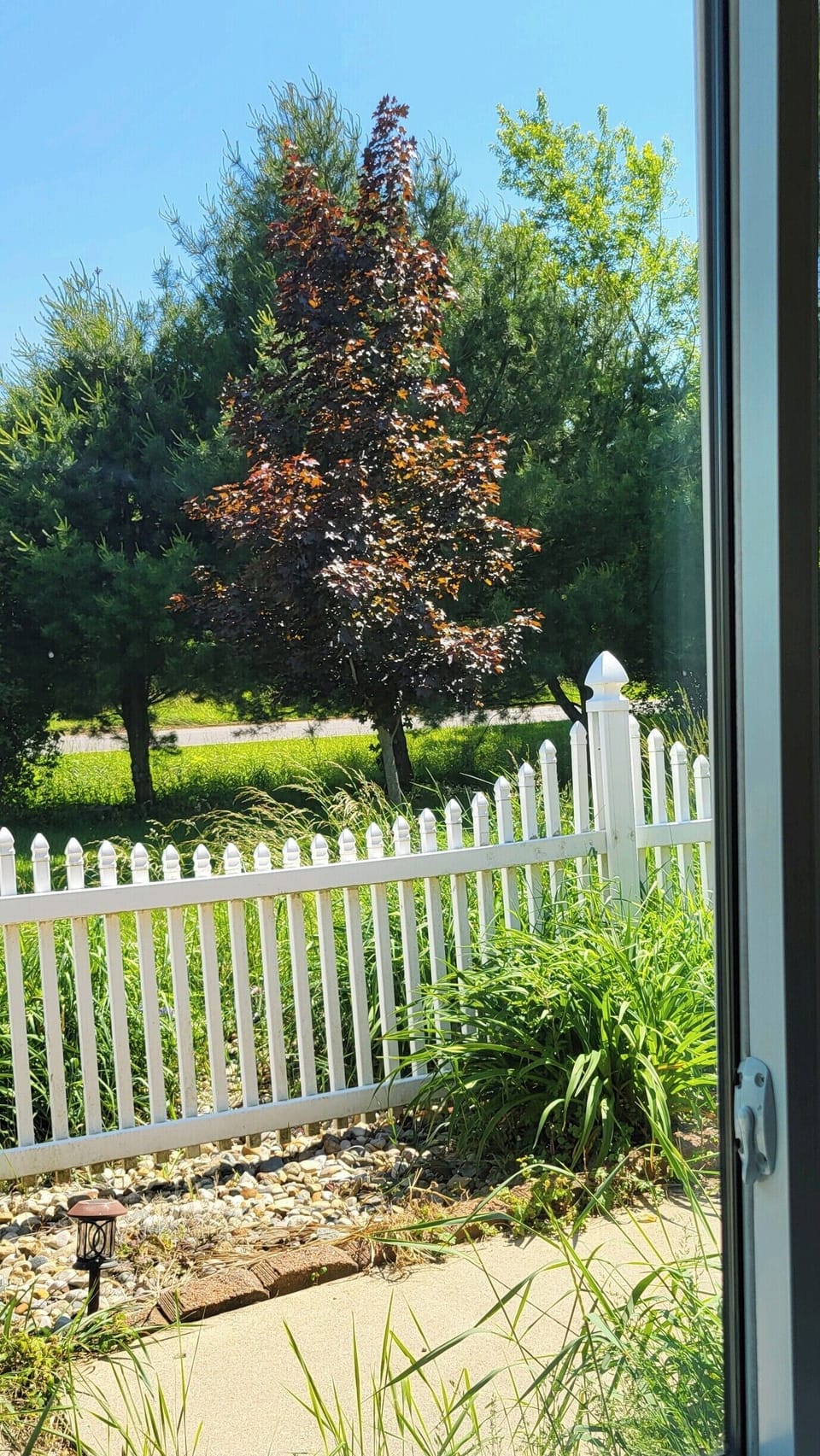 outside view from living room 