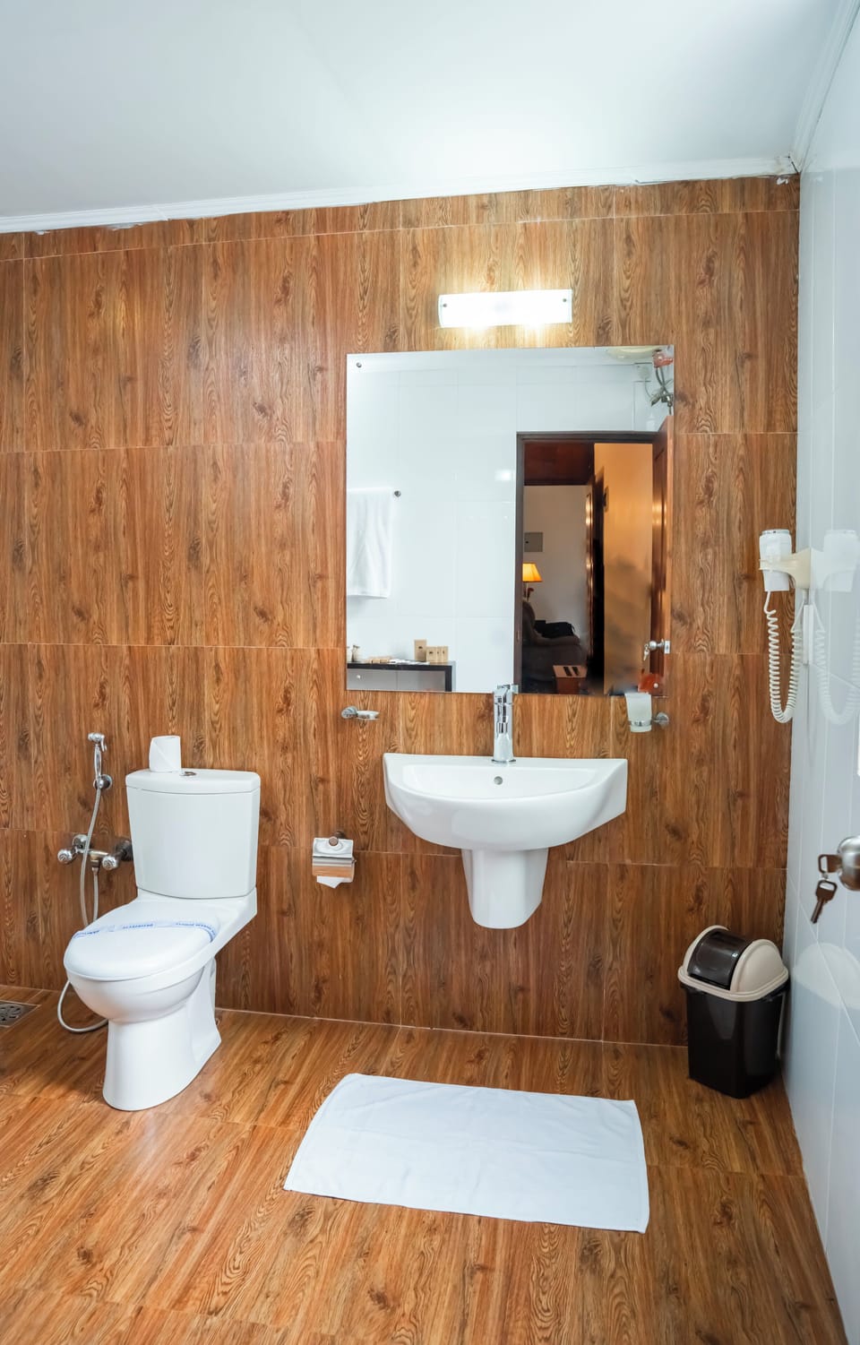 Shower, hair dryer, bidet, towels