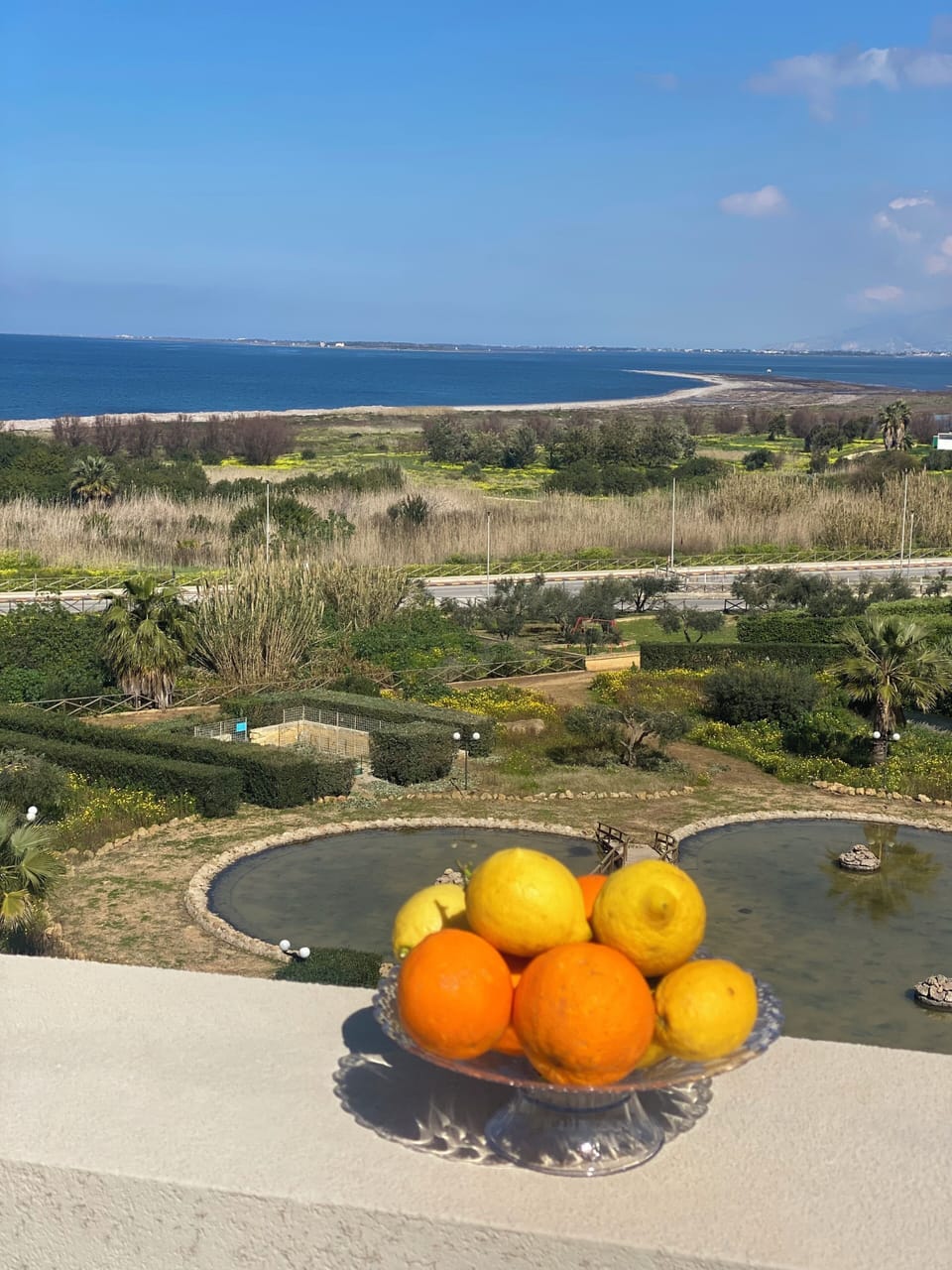 View from property