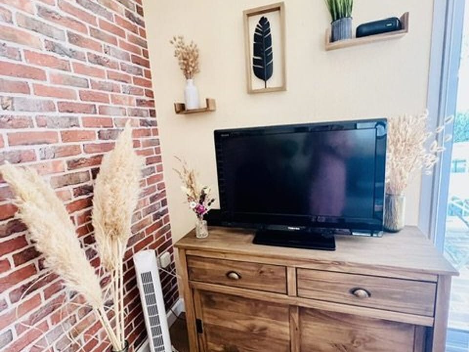 Television