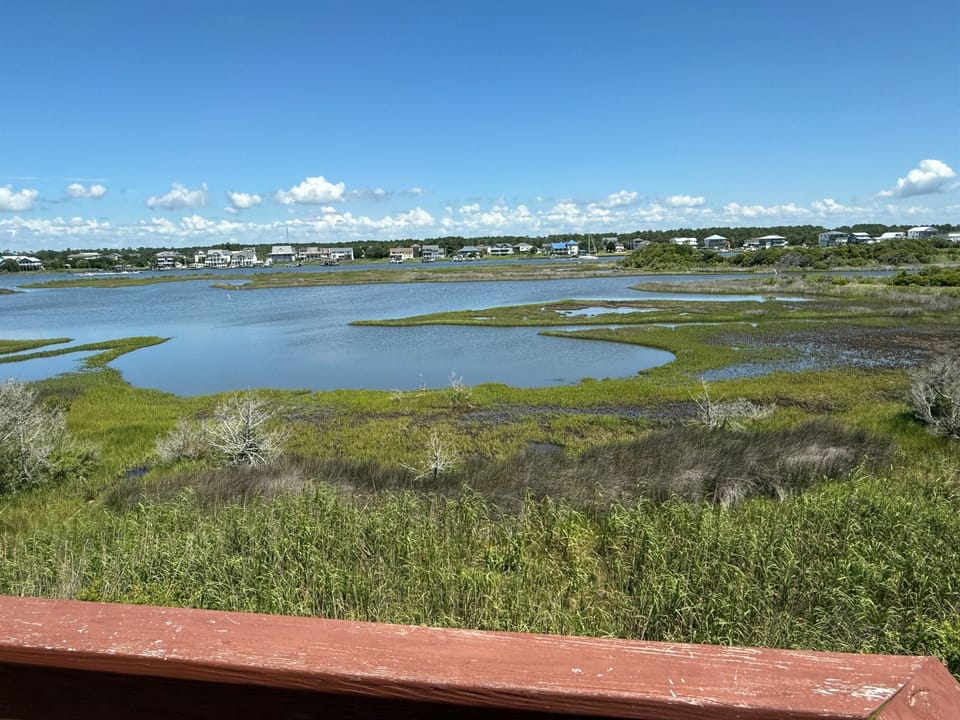 View from the back deck
