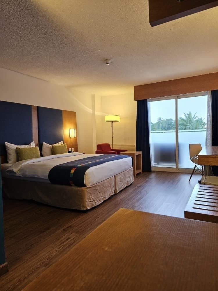 Superior Single Room, 1 King Bed, Non Smoking | In-room safe, desk, laptop workspace, WiFi (free)