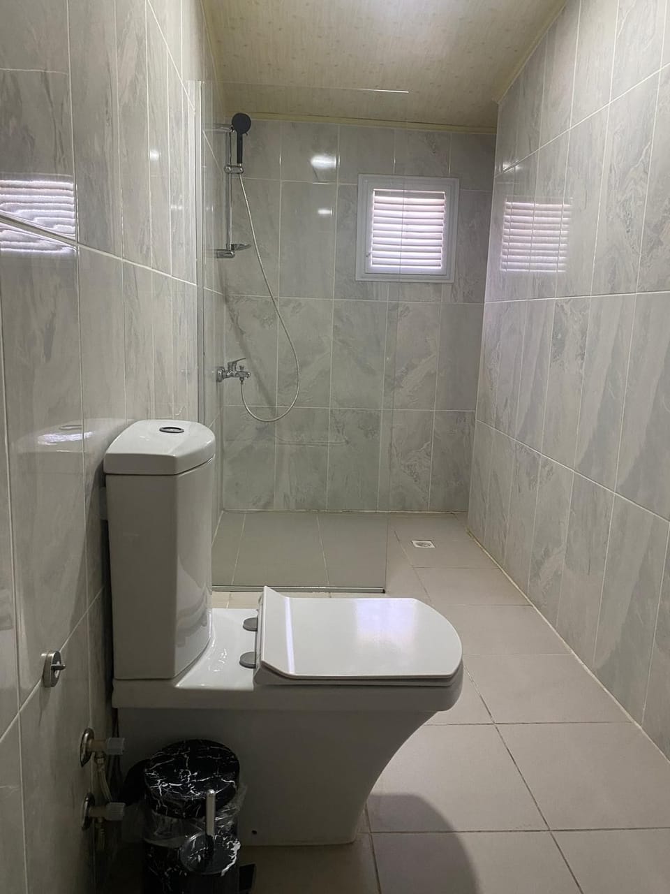 Shower, hair dryer, slippers, bidet