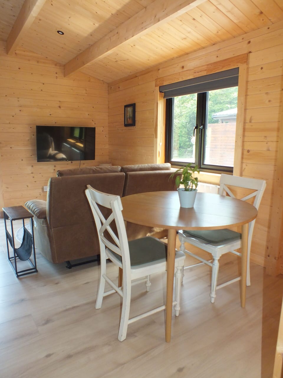 Living / Dining Area