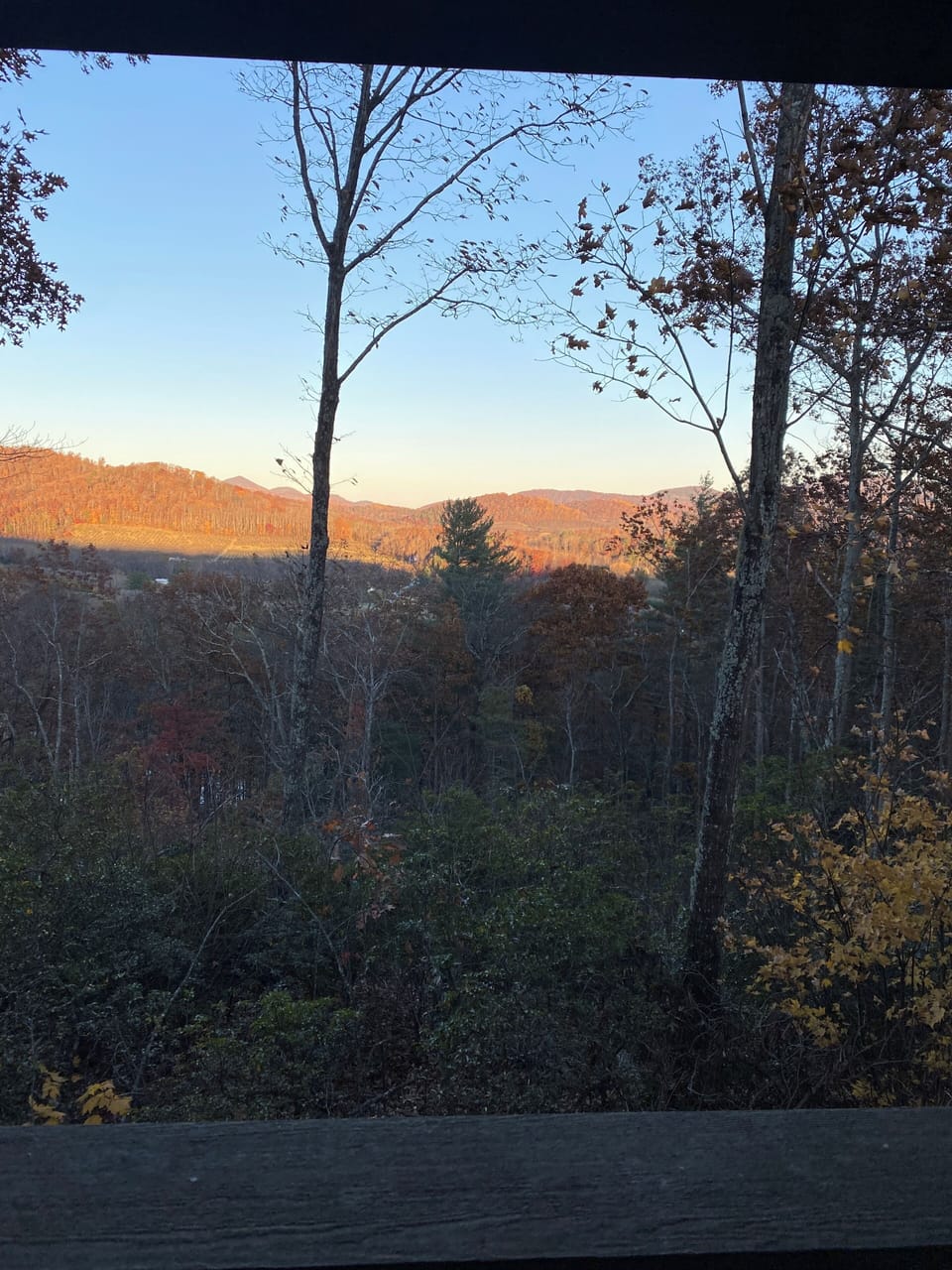 View from property