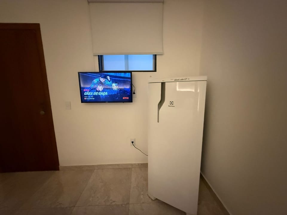 Television