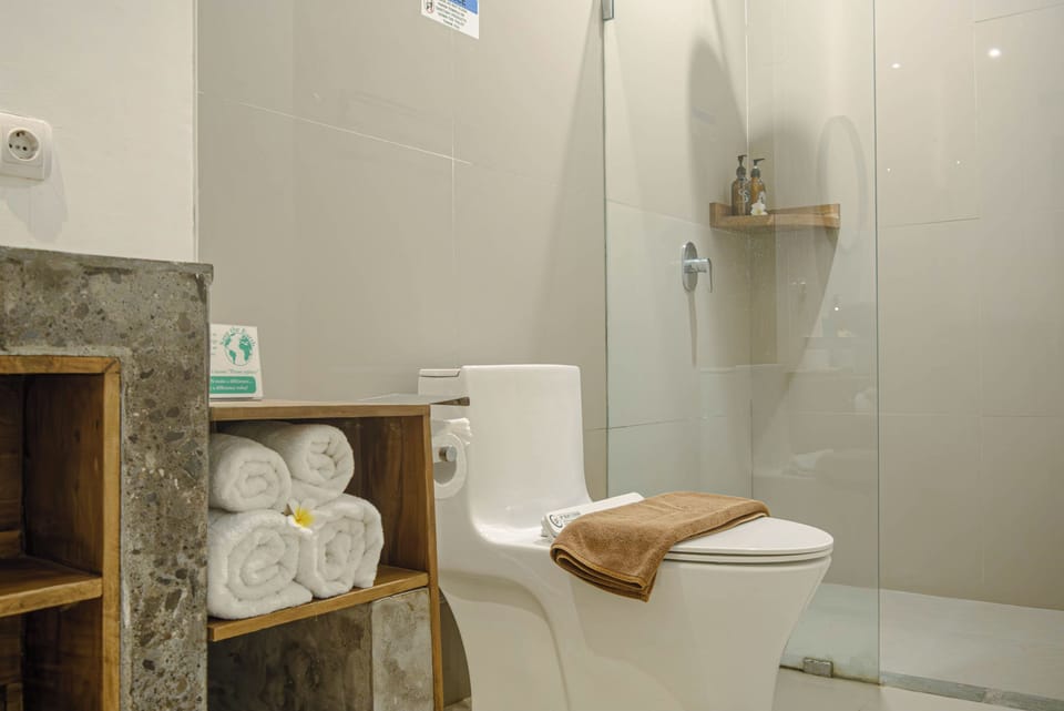 Shower, free toiletries, hair dryer, towels