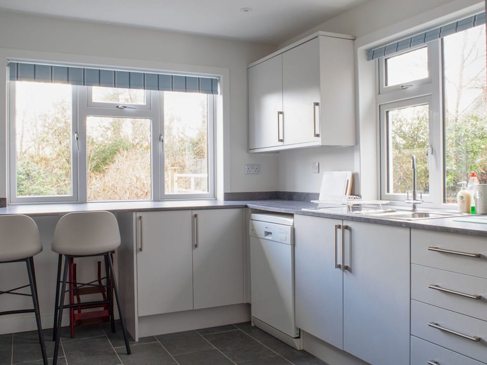 Kitchen, Countertop, Kitchen Appliance, Cabinetry, Interior Design, Flooring, Wood, Furniture, Major Appliance, Home