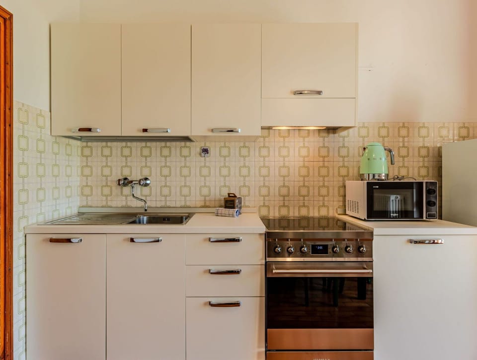 Kitchen Appliance, Kitchen, Cabinetry, Countertop, Major Appliance, Home Appliance, Wood, Kitchen Stove, Stove, Kitchen Sink