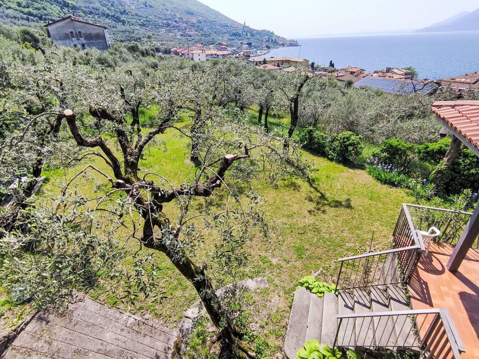 Cottage, Estate, Balcony, Hacienda, Eco Hotel, Villa, Farmhouse, Mountain Village, Porch, Backyard