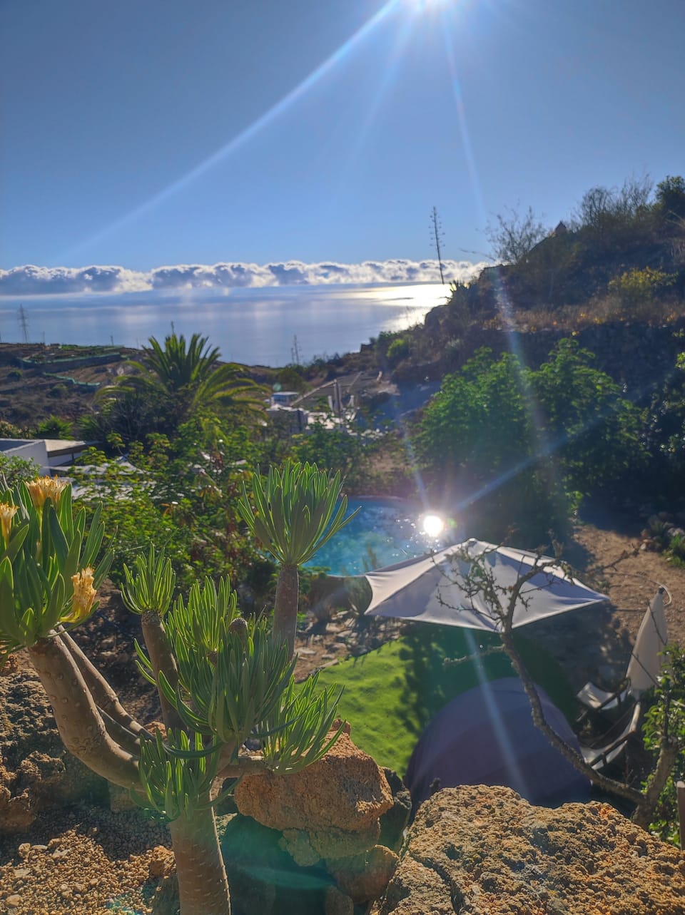 View from property