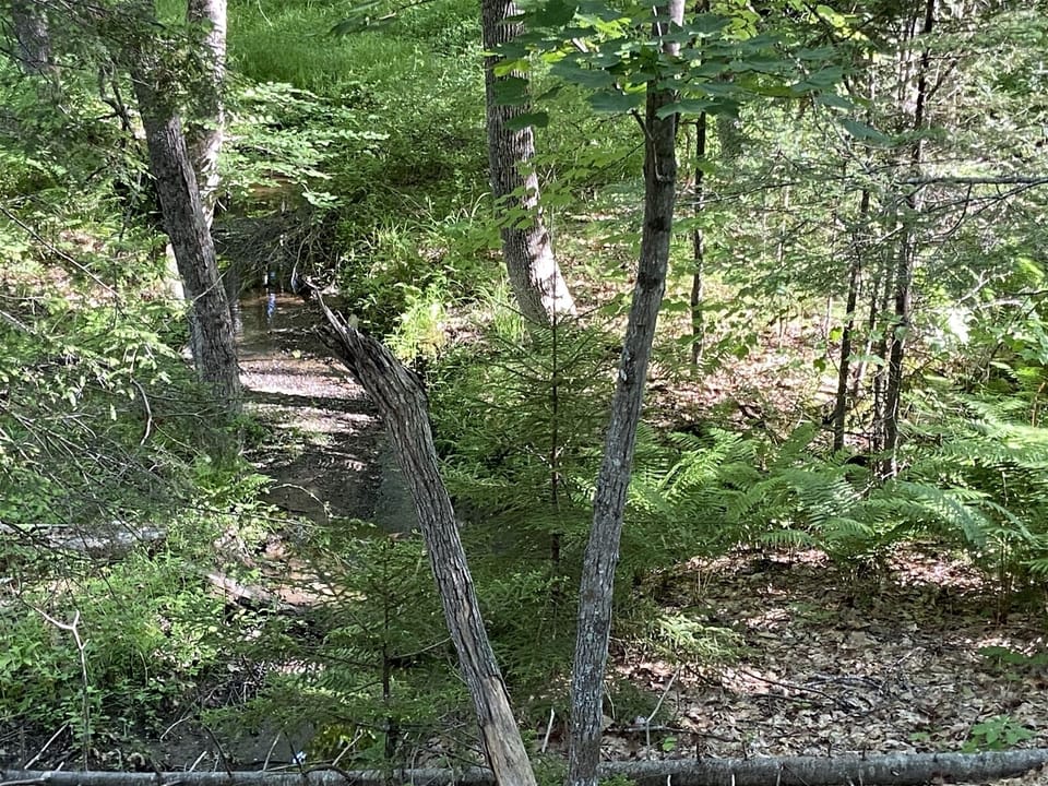 Private walking trail behind the compound