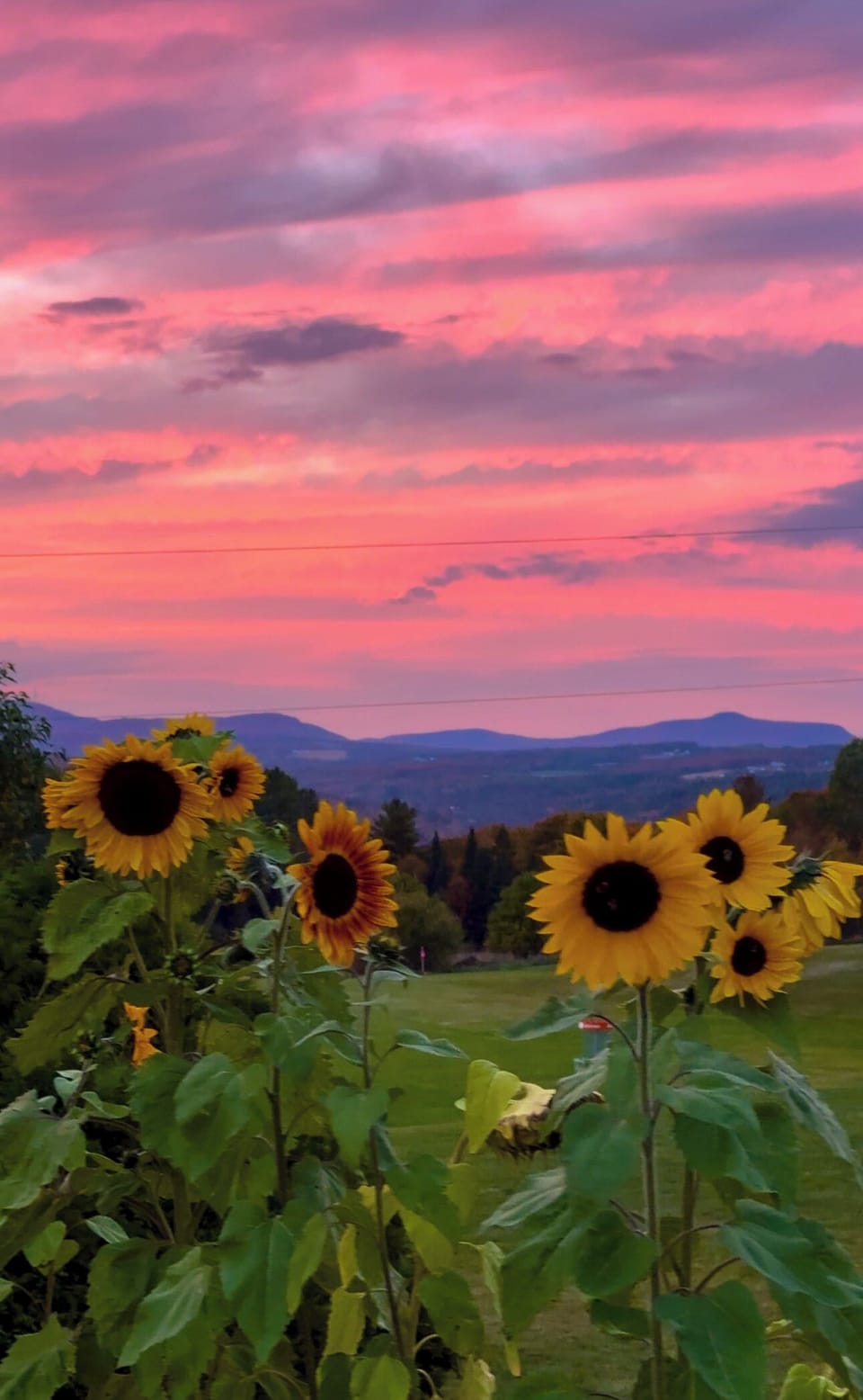 View from property