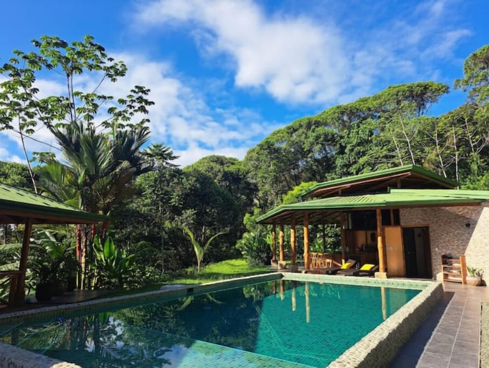 Main House with open Kitchen Concept. Brand New Pool! Jungle Living Experience! 