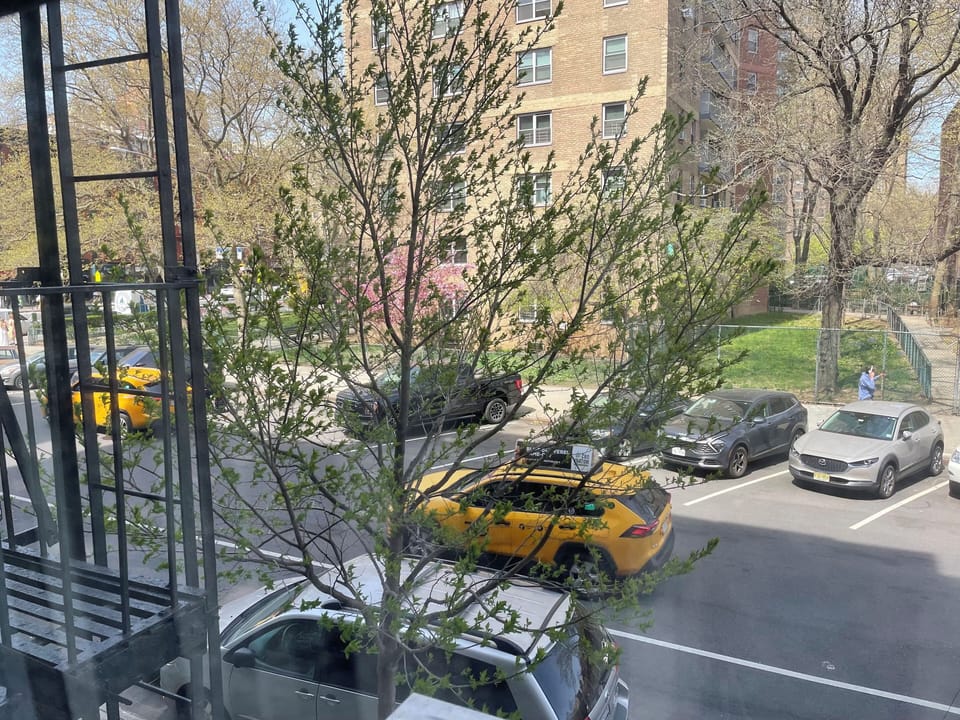 View out second window - Perfect NYC spring day. 
