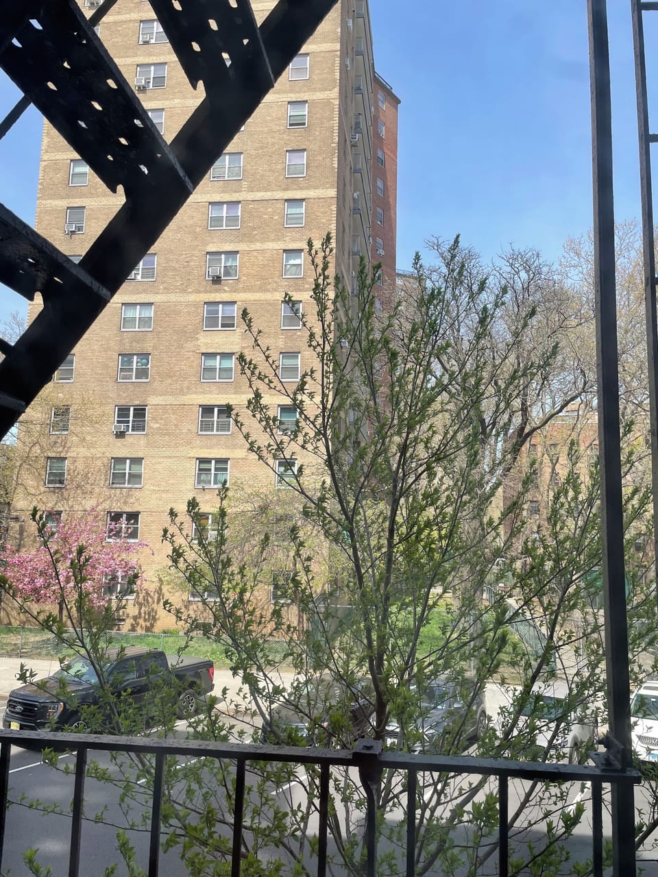 View outside first window - fire escape and lovely NYC spring day