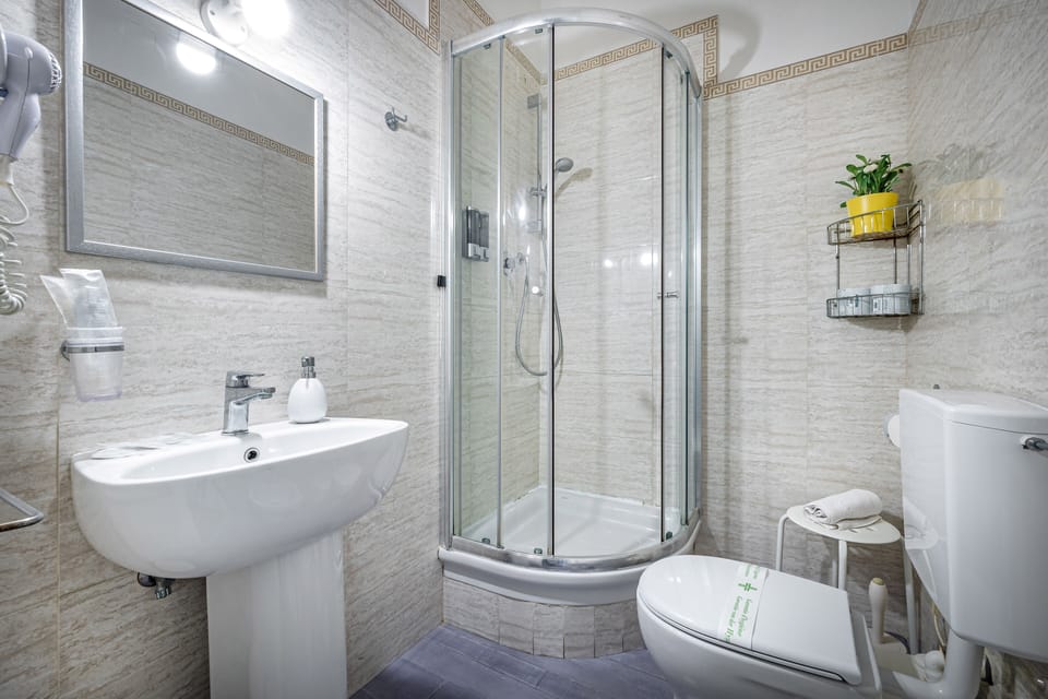 Standard Double Room | Bathroom | Shower, free toiletries, hair dryer, bidet