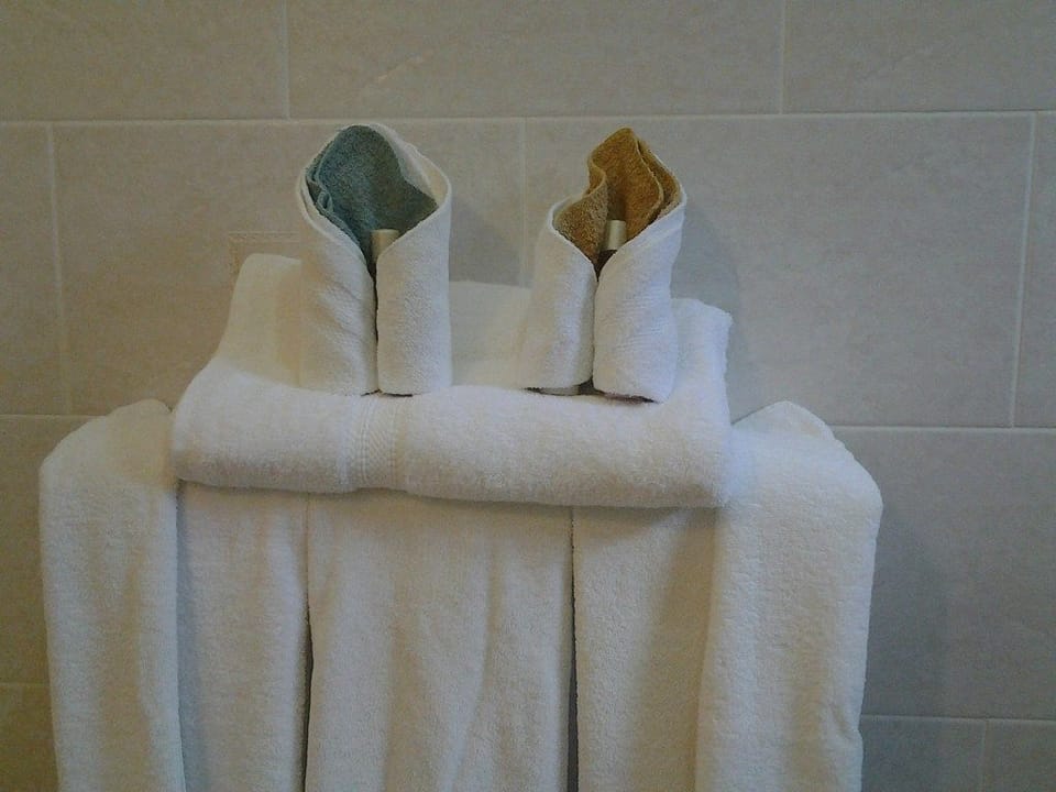 Family Apartment, 3 Bedrooms, Accessible, Pool View (Hibiscus) | Bathroom | Free toiletries, towels