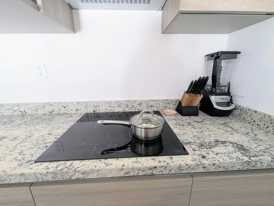 Induction cook top, Blender