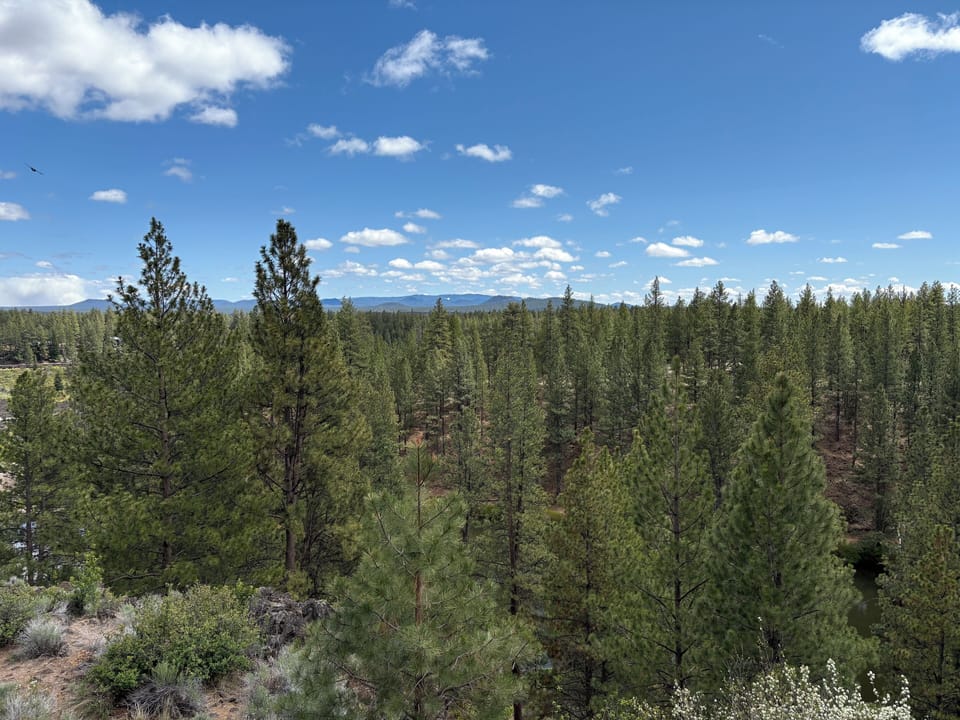 View from deck