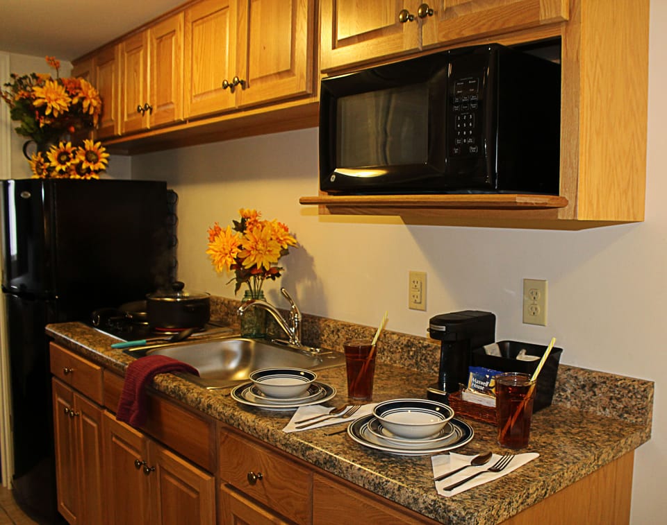 Superior Suite, 2 Double Beds, Kitchen, Ground Floor | Private kitchen | Fridge, microwave, coffee/tea maker
