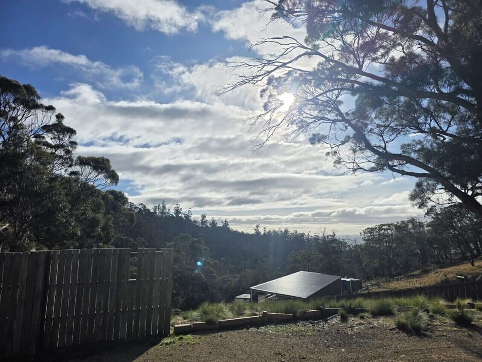 View from Cabin