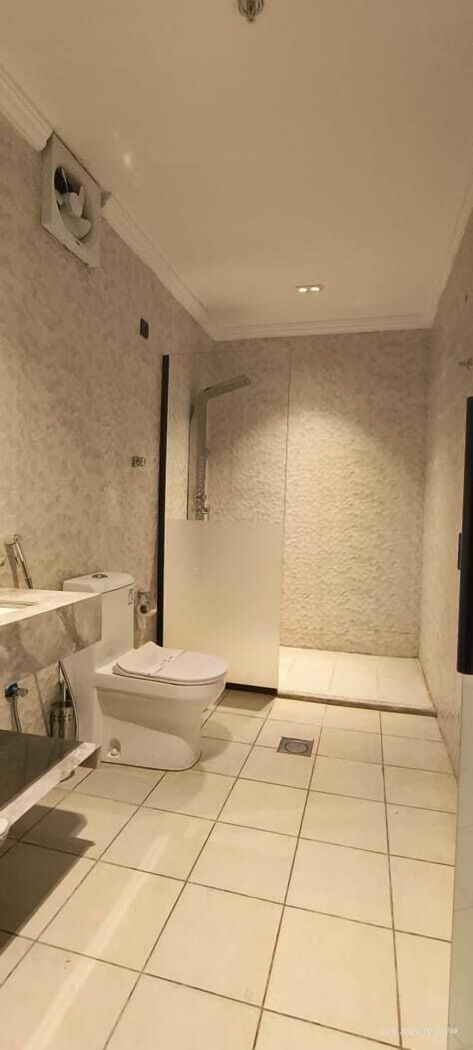 Shower, soap, shampoo, toilet paper
