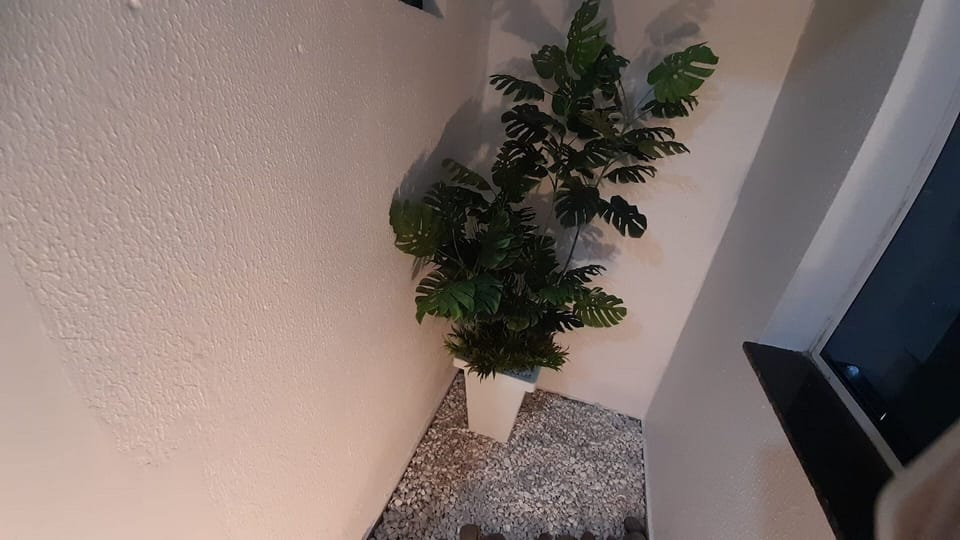 Basic Apartment | Interior