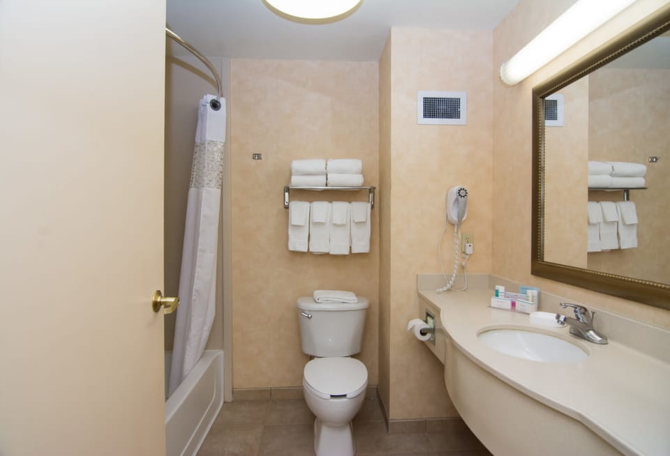 Combined shower/tub, free toiletries, hair dryer, towels